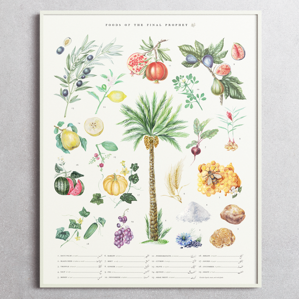 Foods of the Final Prophet - A Botanical Print Poster
